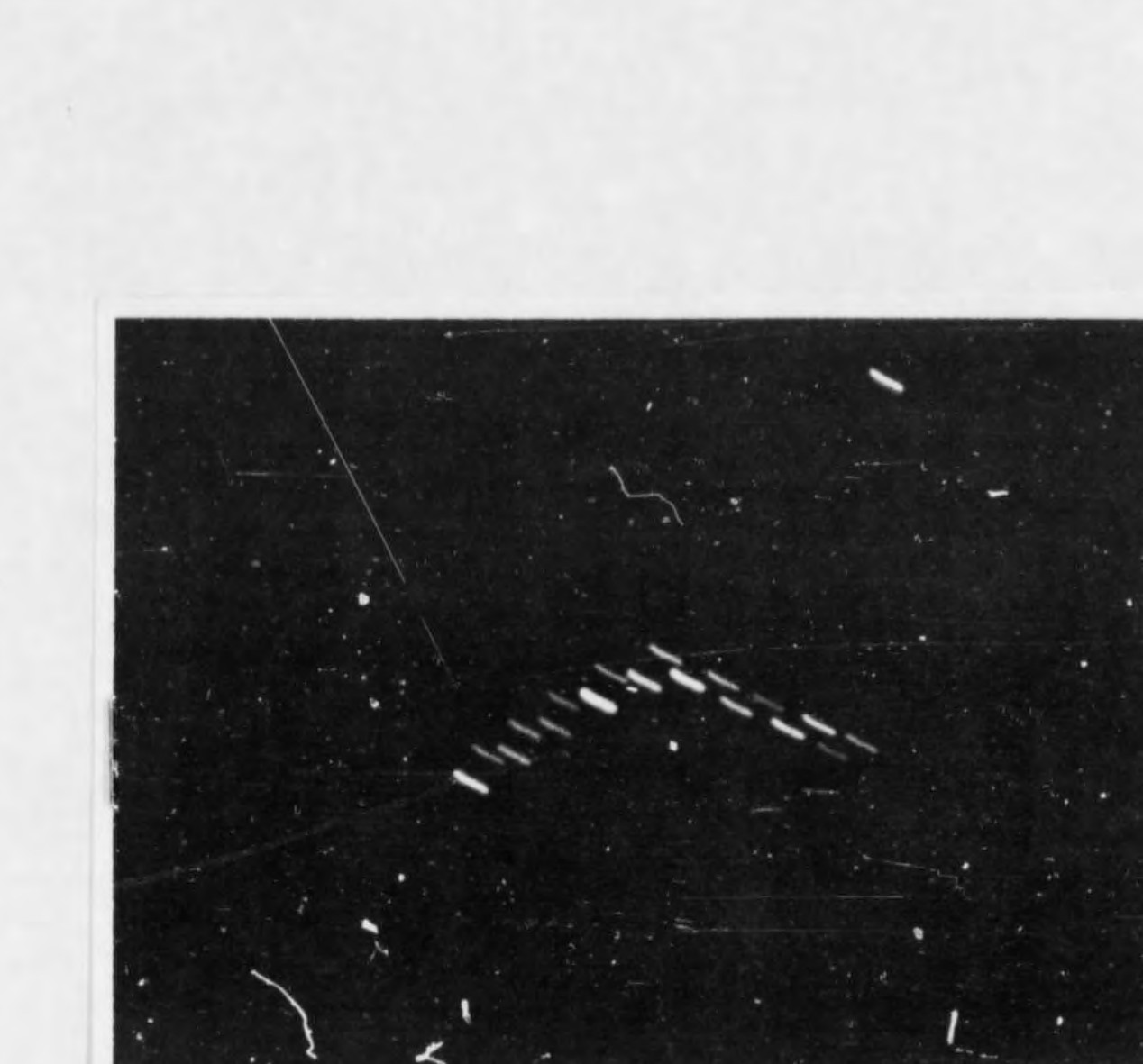 Photograph showing streaking lights over Lubbock, Texas - August 30, 1951
